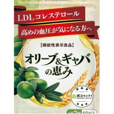 和漢之森 天然橄欖精華 紅麥芽 降低血壓和壞膽固醇LDL 60粒